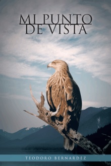 MI PUNTO DE VISTA