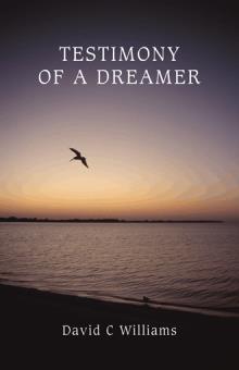TESTIMONY OF A DREAMER