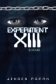 Experiment XIII