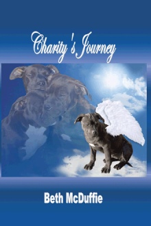 Charity’s Journey