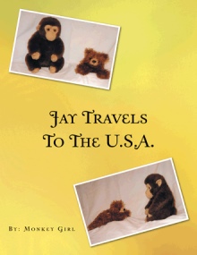 JAY TRAVELS TO THE U.S.A.