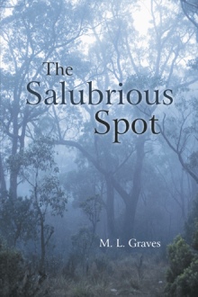 The Salubrious Spot