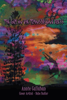 The Girl in the Translucent Dress