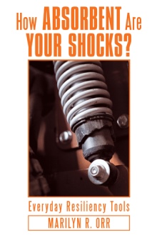 How Absorbent Are Your Shocks?
