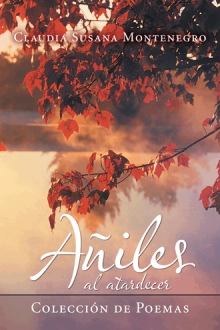 Añiles al atardecer