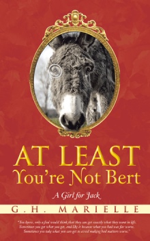 At Least You're Not Bert