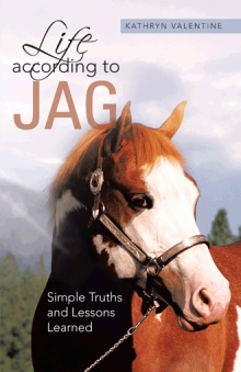 Life according to Jag