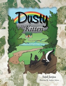 Dusty The Kitten