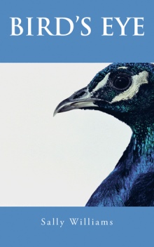 BIRD’S EYE
