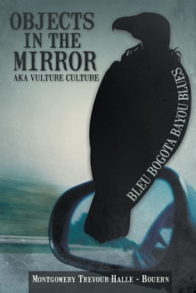 Objects in the Mirror aka Vulture Culture