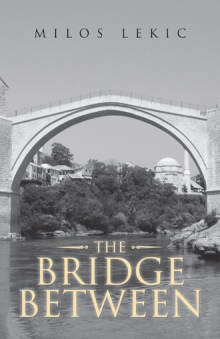 THE BRIDGE BETWEEN