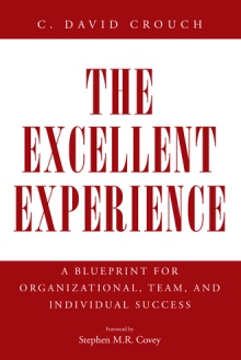 The Excellent Experience