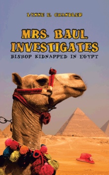 Mrs. Baul Investigates