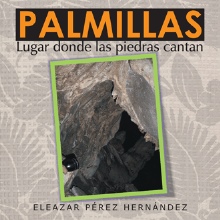 PALMILLAS