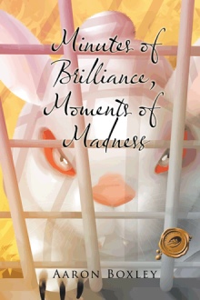 Minutes of Brilliance, Moments of Madness