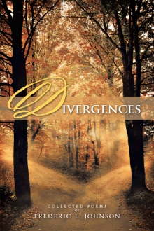 DIVERGENCES