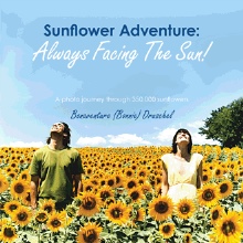 Sunflower Adventure: Always Facing The Sun!