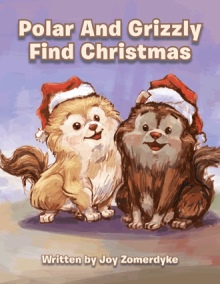 Polar And Grizzly Find Christmas