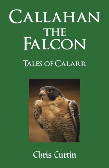 CALLAHAN THE FALCON