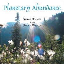 Planetary Abundance