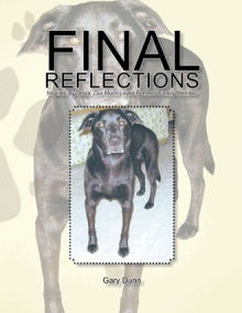 FINAL REFLECTIONS