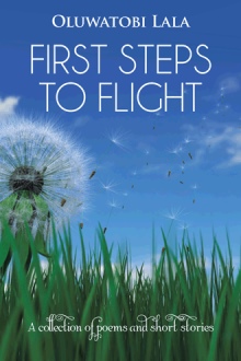 FIRST STEPS TO FLIGHT