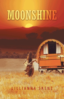 Moonshine