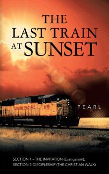 THE LAST TRAIN AT SUNSET