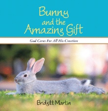 Bunny and the Amazing Gift