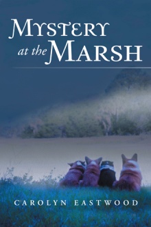 Mystery at the Marsh