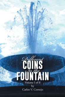 DIFFERENT  COINS IN THE FOUNTAIN