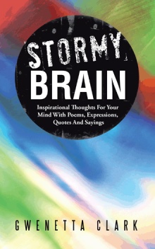STORMY BRAIN