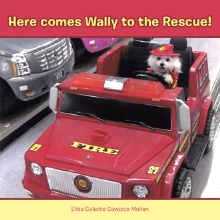 Here comes Wally to the Rescue!