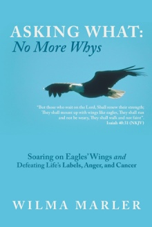 Asking What: No More Whys
