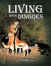 LIVING WITH DINGOES