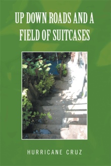 UP DOWN ROADS AND A FIELD OF SUITCASES