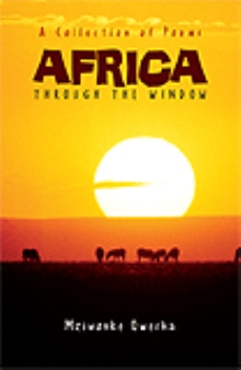 Africa: Through the Window