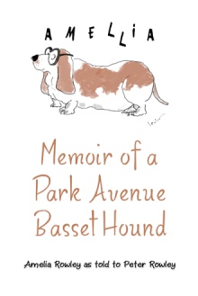 Memoir of a Park Avenue Basset Hound