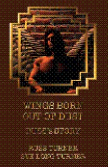 Wings Born Out Of Dust