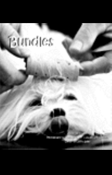 Bundles