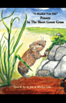Penney in the Short Green Grass