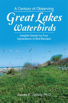 A Century of Observing Great Lakes Waterbirds