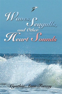 Waves, Seagulls, and Other Heart Sounds