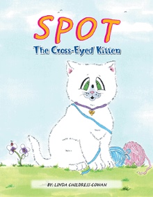 Spot The Cross - Eyed Kitten