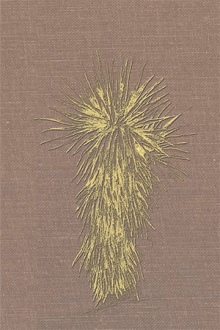 Marfa and Presidio County, Texas