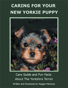 CARING FOR YOUR NEW YORKIE PUPPY