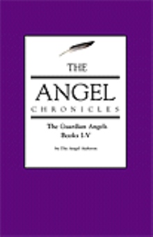 The Angel Chronicles