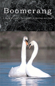Boomerang