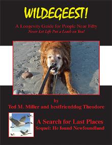 WILDEGEEST A Search for Last Places - Sequel