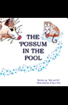 The 'Possum in the Pool